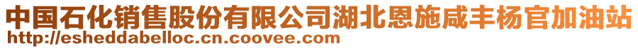 中國(guó)石化銷(xiāo)售股份有限公司湖北恩施咸豐楊官加油站