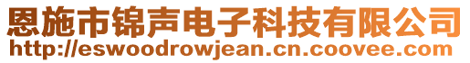 恩施市錦聲電子科技有限公司