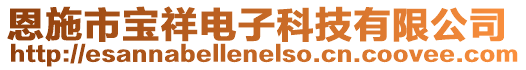 恩施市寶祥電子科技有限公司