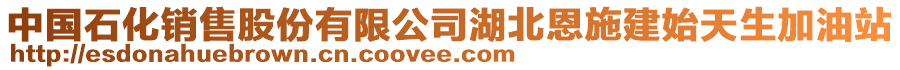 中國(guó)石化銷(xiāo)售股份有限公司湖北恩施建始天生加油站