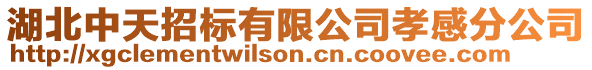 湖北中天招標有限公司孝感分公司