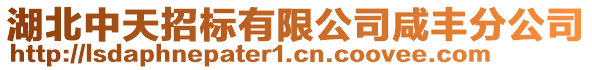 湖北中天招標有限公司咸豐分公司
