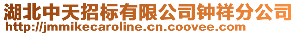 湖北中天招標(biāo)有限公司鐘祥分公司