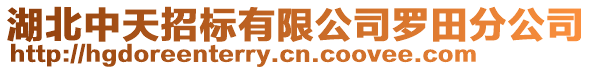 湖北中天招標有限公司羅田分公司