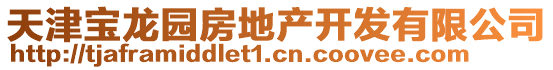 天津?qū)汖垐@房地產(chǎn)開發(fā)有限公司