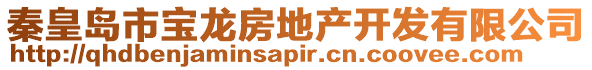 秦皇島市寶龍房地產(chǎn)開(kāi)發(fā)有限公司