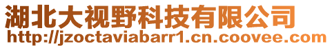 湖北大视野科技有限公司