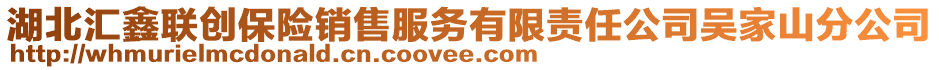 湖北匯鑫聯(lián)創(chuàng)保險銷售服務(wù)有限責(zé)任公司吳家山分公司