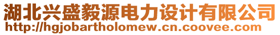 湖北兴盛毅源电力设计有限公司