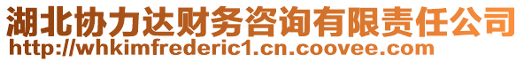 湖北協(xié)力達(dá)財務(wù)咨詢有限責(zé)任公司