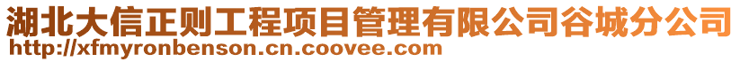 湖北大信正則工程項目管理有限公司谷城分公司