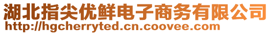 湖北指尖優(yōu)鮮電子商務(wù)有限公司