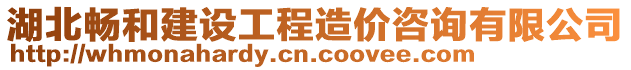 湖北暢和建設(shè)工程造價(jià)咨詢有限公司