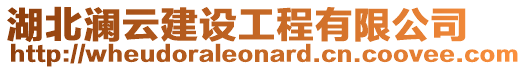 湖北瀾云建設(shè)工程有限公司