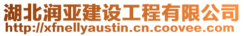 湖北潤亞建設工程有限公司