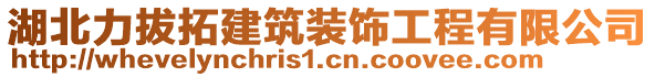 湖北力拔拓建筑裝飾工程有限公司