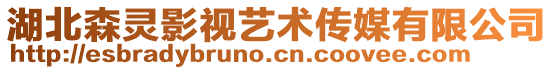 湖北森靈影視藝術傳媒有限公司