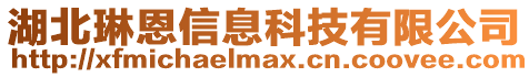 湖北琳恩信息科技有限公司