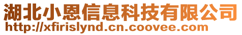 湖北小恩信息科技有限公司