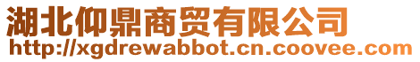 湖北仰鼎商貿有限公司
