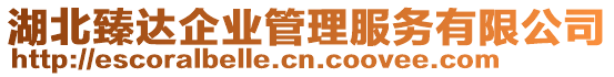 湖北臻達企業(yè)管理服務有限公司