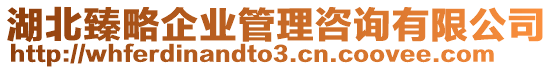 湖北臻略企業(yè)管理咨詢有限公司