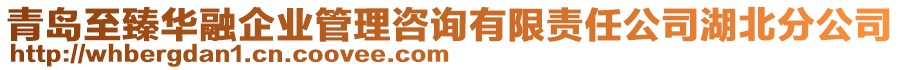 青島至臻華融企業(yè)管理咨詢有限責任公司湖北分公司