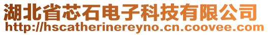 湖北省芯石電子科技有限公司