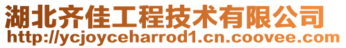 湖北齊佳工程技術有限公司