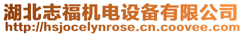 湖北志福機(jī)電設(shè)備有限公司