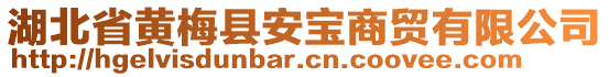 湖北省黃梅縣安寶商貿(mào)有限公司