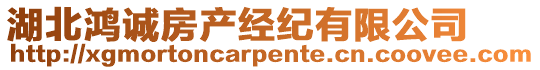 湖北鴻誠房產經紀有限公司