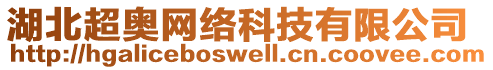 湖北超奧網(wǎng)絡(luò)科技有限公司