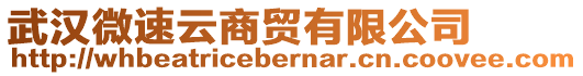 武漢微速云商貿(mào)有限公司