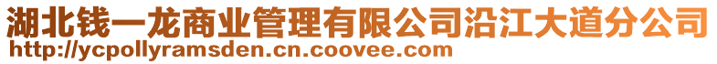 湖北錢一龍商業(yè)管理有限公司沿江大道分公司