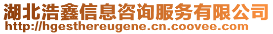 湖北浩鑫信息咨詢服務(wù)有限公司