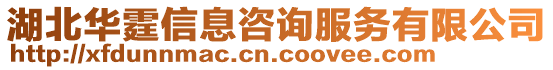 湖北華霆信息咨詢服務(wù)有限公司