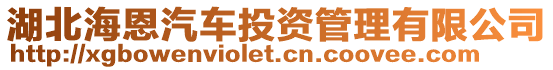 湖北海恩汽車投資管理有限公司