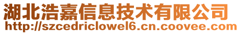 湖北浩嘉信息技術(shù)有限公司