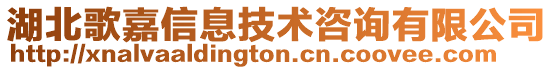 湖北歌嘉信息技术咨询有限公司