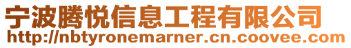 寧波騰悅信息工程有限公司