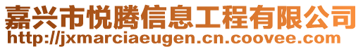 嘉兴市悦腾信息工程有限公司