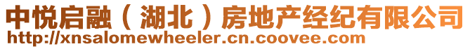 中悅啟融（湖北）房地產(chǎn)經(jīng)紀(jì)有限公司