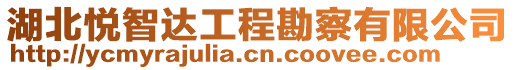 湖北悅智達工程勘察有限公司