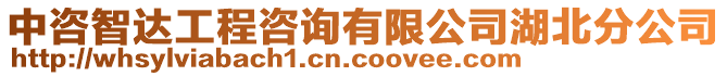 中咨智達工程咨詢有限公司湖北分公司