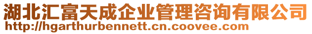 湖北匯富天成企業管理咨詢有限公司