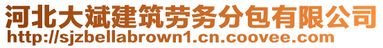 河北大斌建筑勞務(wù)分包有限公司