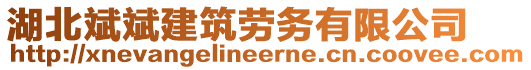 湖北斌斌建筑勞務(wù)有限公司