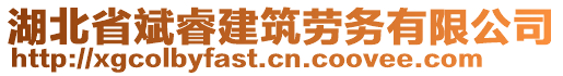 湖北省斌睿建筑勞務(wù)有限公司