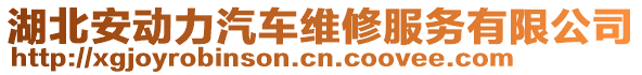 湖北安動力汽車維修服務有限公司